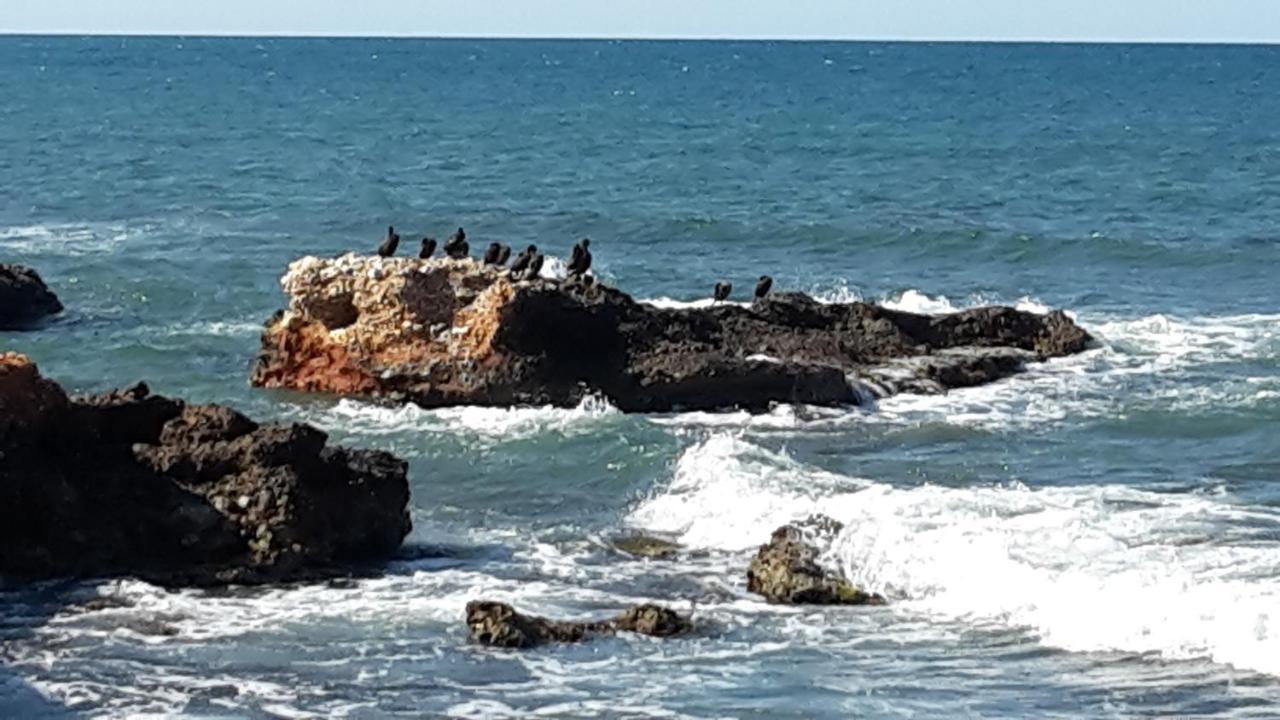 Precioso Apart Sur Y Norte Cerca Playa Y Centro - Cascadas De La Marina Denia Eksteriør bilde